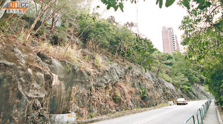 南灣道地可建樓面近一點三萬方呎，項目限高四層。（資料圖片）