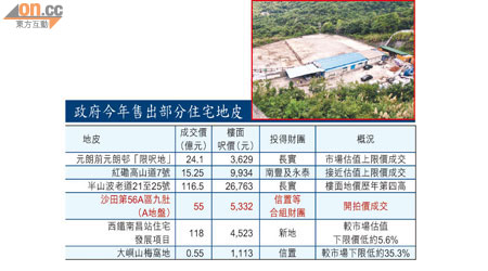 八月信置等合組財團以拍賣開價五十五億元投得九肚地皮。