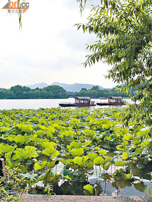 大健遊杭州賞西湖風景，悟出職場生存道理。