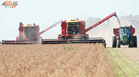 農作物機構Lanworth調低阿根廷今年的大豆產量。