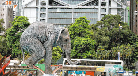 正值滙控在美洗錢案和解生變，香港總部外的「力撐大象」雕塑看來更覺凶險。 （潘國禮攝）