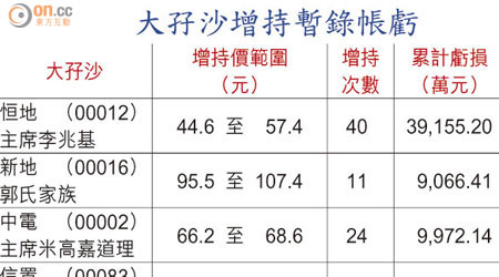 大孖沙增持暫錄帳虧