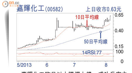 嘉輝化工(00582)