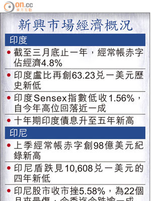 新興市場經濟概況