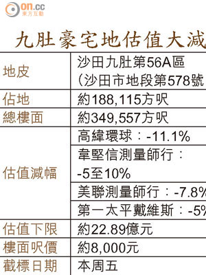 九肚豪宅地估值大減