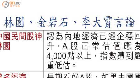 林園、金岩石、李大霄言論