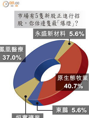 市場有5隻新股正進行招股，你估邊隻最「爆燈」？