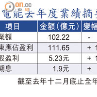 電能去年度業績摘要