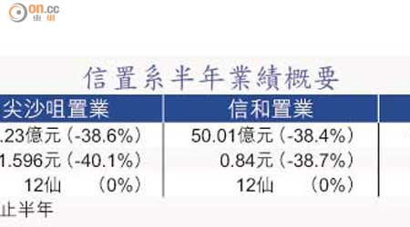 信置系半年業績概要