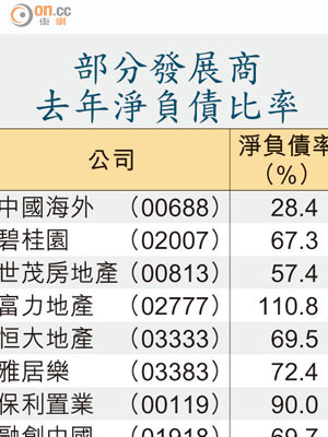 部分發展商去年淨負債比率