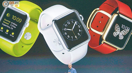 Apple Watch銷售額會被隱藏在「其他產品」類別中。
