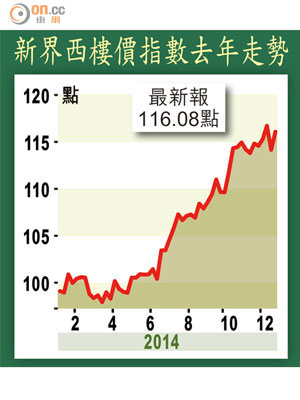 新界西樓價指數去年走勢