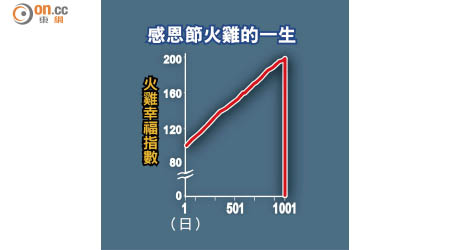 感恩節火雞的一生