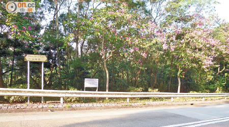 大埔荔枝山山塘路住宅地本周五截標，市場認為地皮有流標風險。