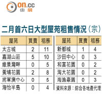 二月首六日大型屋苑租售情況（宗）