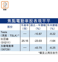 焦點電動車股表現平平