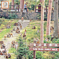 屋苑鄰近金山郊野公園。