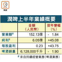 潤啤上半年業績概要