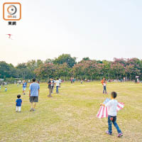 假日可到大埔海濱公園放風箏。