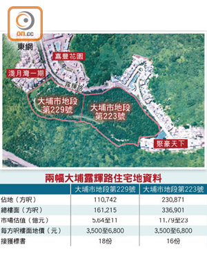 兩幅大埔露輝路住宅地資料