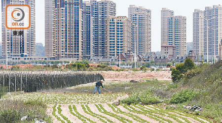 內地一線及二線城市新建住宅價格升幅持續回落。