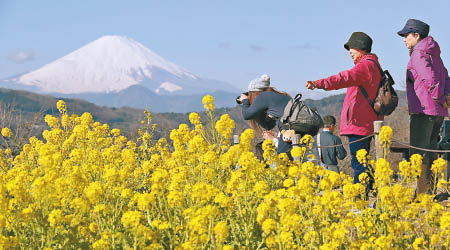 日本旅遊業繼續錄得強勁增長。