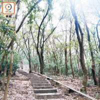 錦英苑地勢較高，背靠馬鞍山郊野公園。