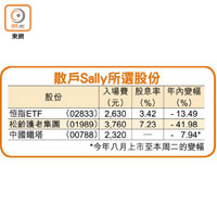 散戶Sally所選股份