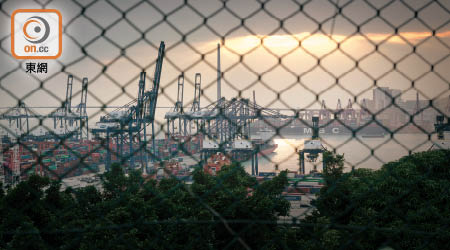 香港去年港口貨櫃吞吐量共錄得1,964.1萬個標準箱，按年下跌5.4%。