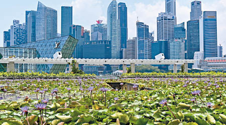 新加坡經濟及出口遜色。