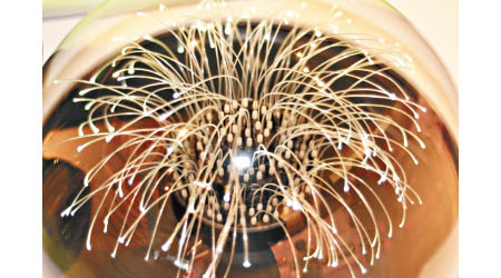 光纖纜的建設可以影響資訊流通。
