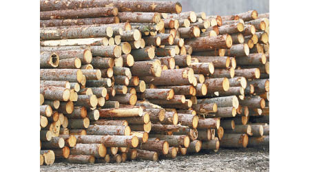 今次木材價格升浪史上最狂。
