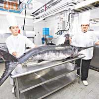 逾百公斤的劍魚有幾大條？有相為證：連大廚Luca（右）都要助手幫手至能捉實。
