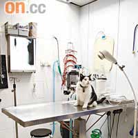 動物有需要時也要進行外科手術，對於手術室及手術床的設備自然要有認識。