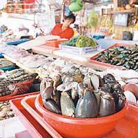 在菲律賓，求其去海產市場任何一檔，都有豐富海產供選擇。市場佔地甚廣，戶外清一色專營海產。