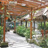 椰花園中設有海鮮餐館，椰林樹影，充滿熱帶風情。