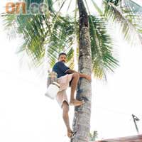 看着阿哥徒手就爬上椰樹，輕鬆自如，不是識輕功是甚麼？