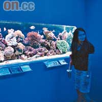 室內部分像水族館，讓人透過玻璃觀賞公園常見的海洋生物。