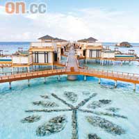 全新InOcean Villa建於海上的環礁之上，度假村還特別以珊瑚拼出酒店logo。