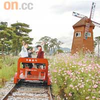 踏着鐵道自行車，漫遊蟾津江火車村，在花海與風車間，如人在歐陸。