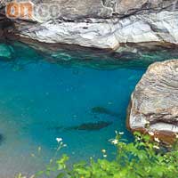 立霧溪溪水溶解兩旁大理石中的碳酸鈣，故呈現出藍綠色。
