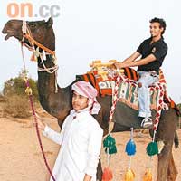 導遊特別找來地道的阿拉伯駱駝供大家拍照。