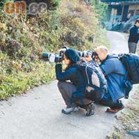 被旅客手執「長炮」拍攝，馬騮早已習以為常。