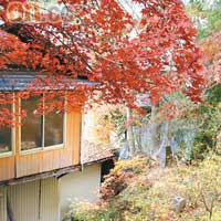 房間跟花園及樹林接壤，景色隨季節產生變化。