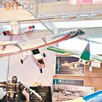 同場展出多款遙控模型飛機，售價由數百至過千元不等，任君選擇。