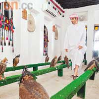 「逗隼為樂」是有錢人的嗜好，普通一隻幼隼約售二千至四千港幣，買家多來自沙特和其他中東地區。