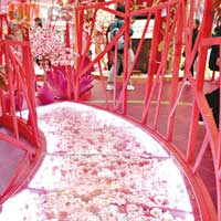 荃灣廣場<br>與情人於「愛情祈福徑」漫步，可感受桃花的浪漫綺麗。
