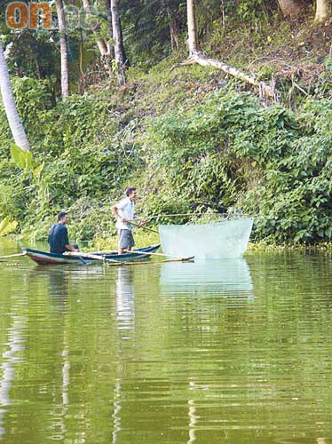 漁夫用兩支竹和細密魚網特製而成的捕魚工具，即席撈魚。