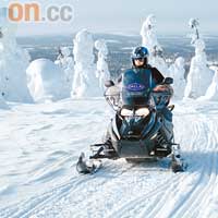 在樹冰陣飛車，比在雪地曠野更刺激。