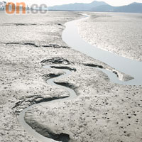 除生物外，76年時曾島附近的水域更發掘出兩萬多件600多年前的文物。